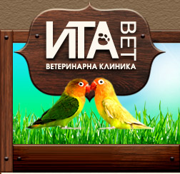 Ита Вет