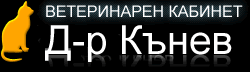 ХРИСТО КЪНЕВ – 92